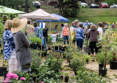 Gardening In Montreat? Start Here