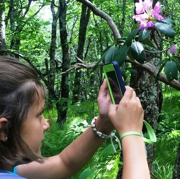 “ecoEXPLORE” among Children’s Activities at Montreat Native Plant Event April 29