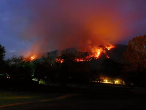 Autumn is Firewise Season in Montreat