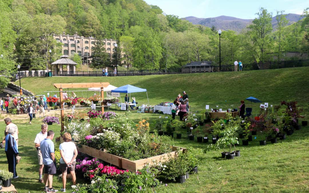 “Become a Tree,” ecoEXPLORE, among Children’s Activities Featured at Montreat April 28 Arbor Day & Plant Celebration