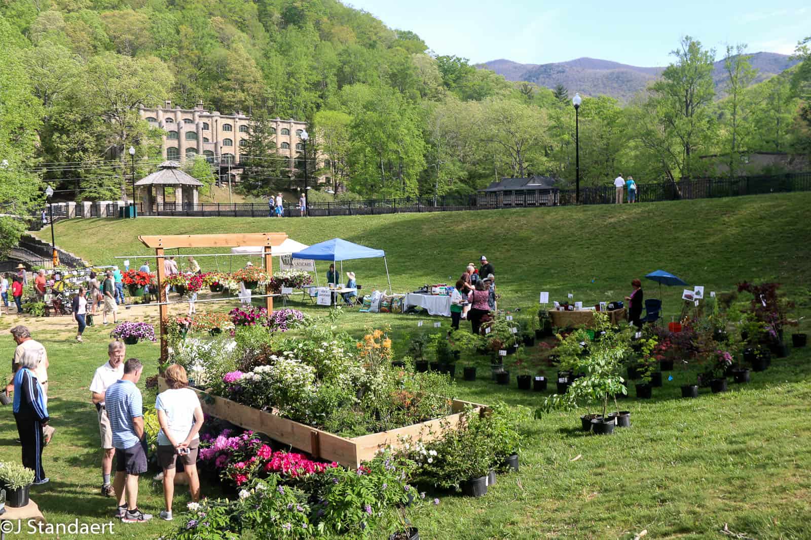 a Tree," ecoEXPLORE, among Children's Activities Featured at