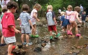 Montreat Children Outdoors Projects Launched by Landcare