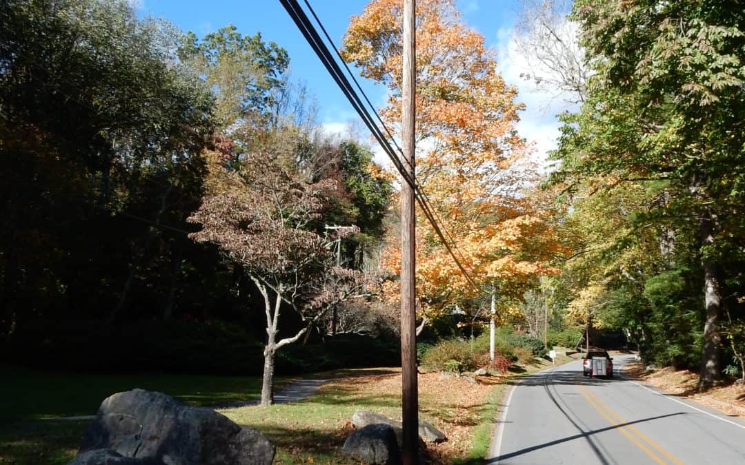 Montreat Tree Planning Guide Returns