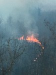 Fall Firewise information
