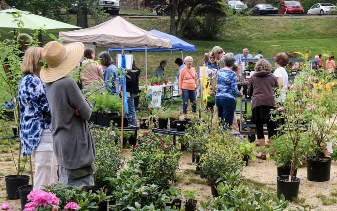 Montreat Native Plant Sale and Arbor Day Celebration is more than a Sale