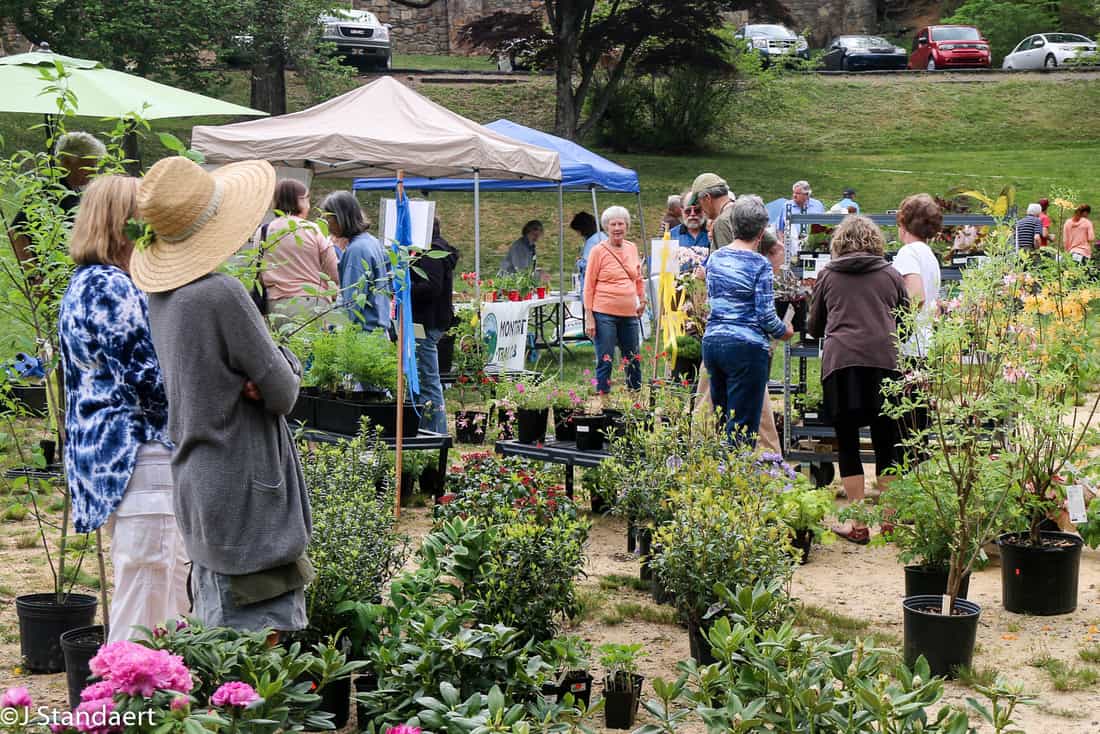 Montreat Native Plant Sale and Arbor Day Celebration is more than a