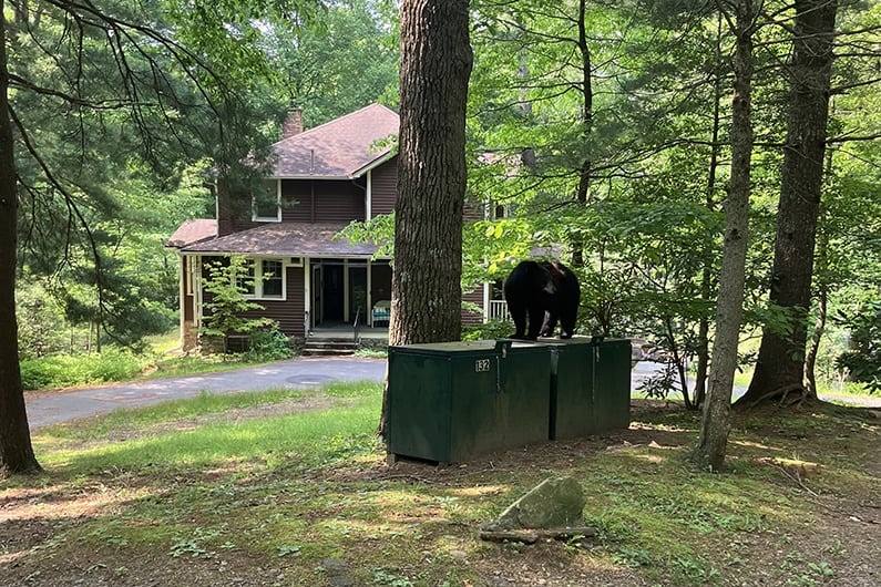 Montreat is BEAR WISE!!